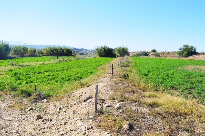 3 Bedroom Property for Sale in Calitzdorp Western Cape